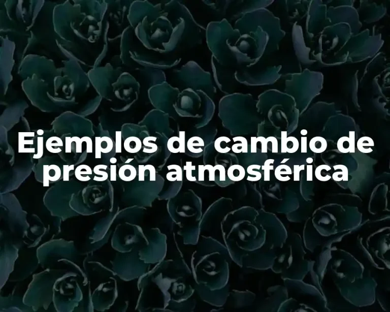 Ejemplos de cambio de presión atmosférica