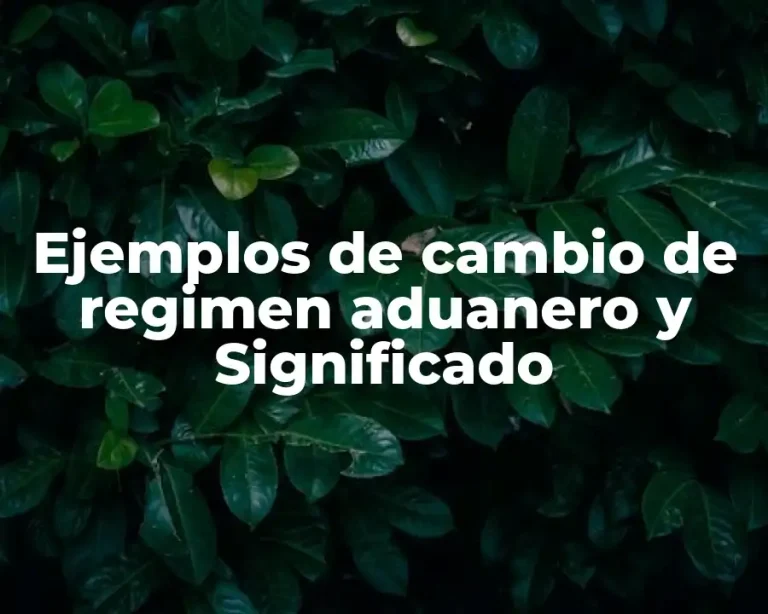 Ejemplos de cambio de regimen aduanero y Significado