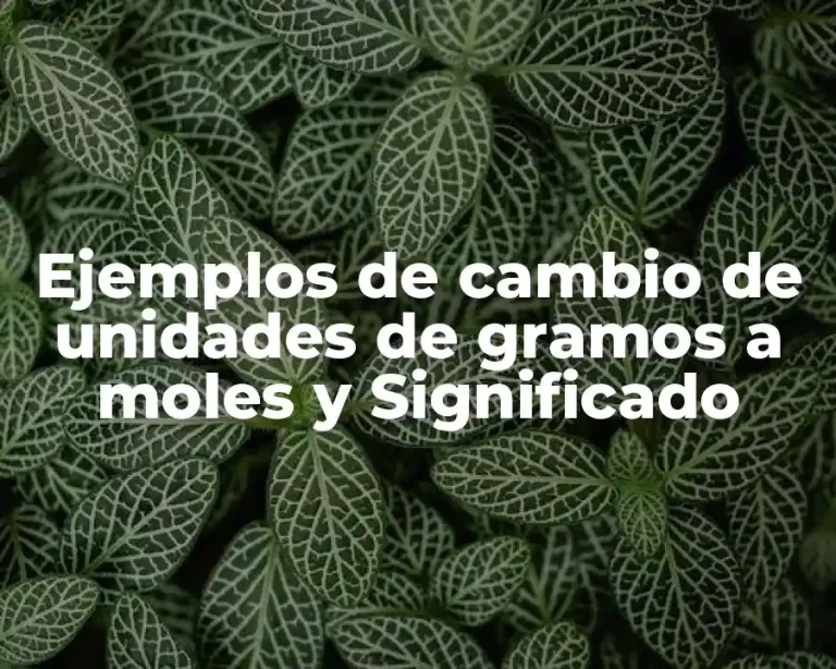 Ejemplos de cambio de unidades de gramos a moles y Significado