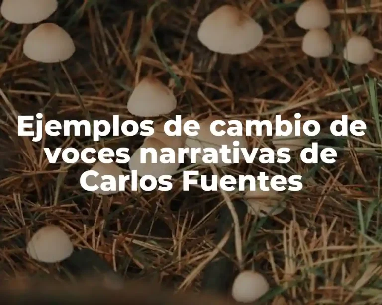 Ejemplos de cambio de voces narrativas de Carlos Fuentes