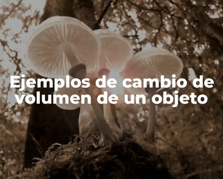 Ejemplos de cambio de volumen de un objeto