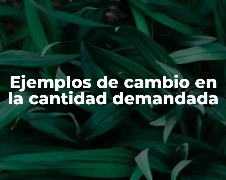 Ejemplos de cambio en la cantidad demandada