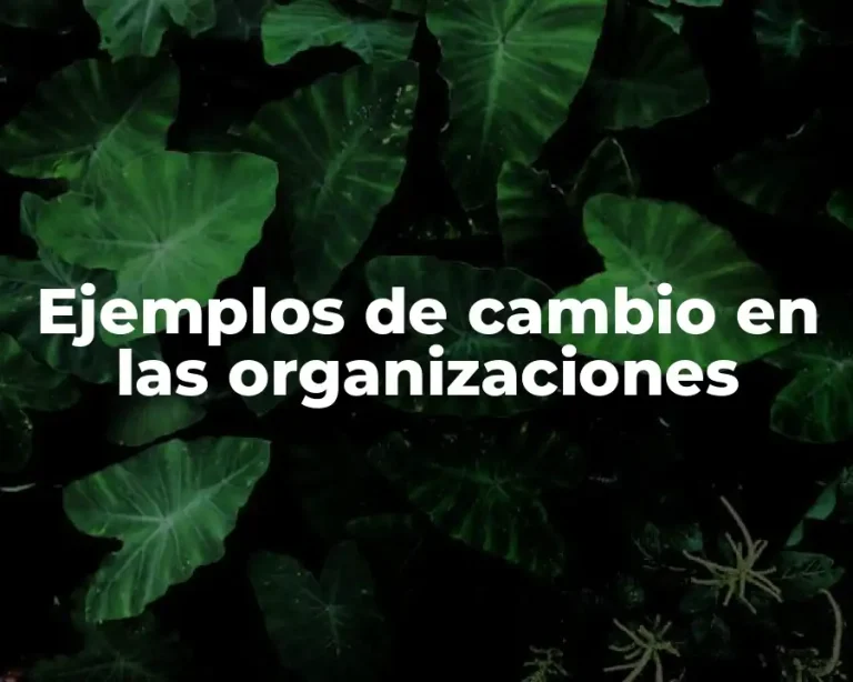 Ejemplos de cambio en las organizaciones