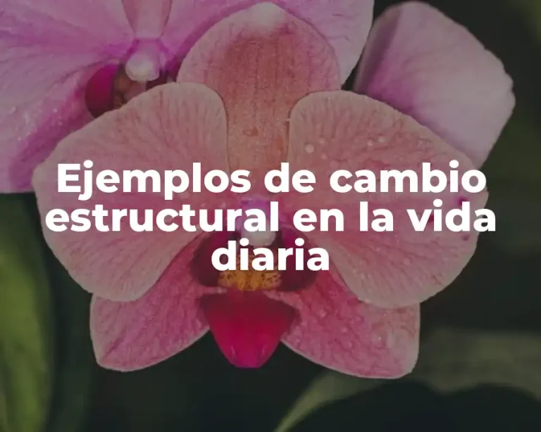 Ejemplos de cambio estructural en la vida diaria