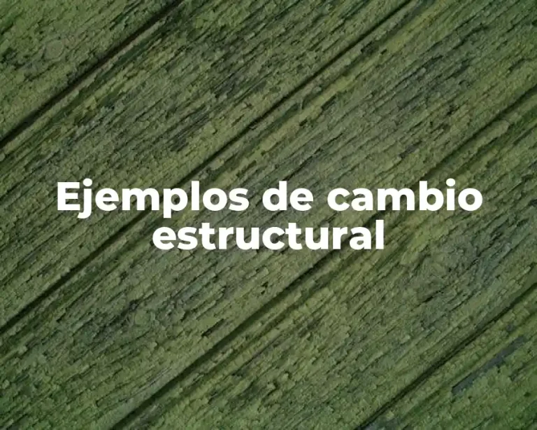 Ejemplos de cambio estructural
