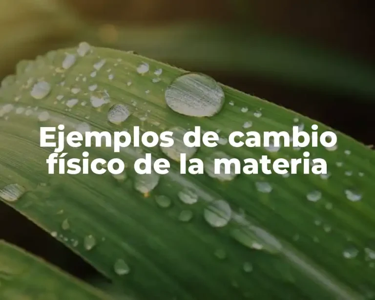 Ejemplos de cambio físico de la materia