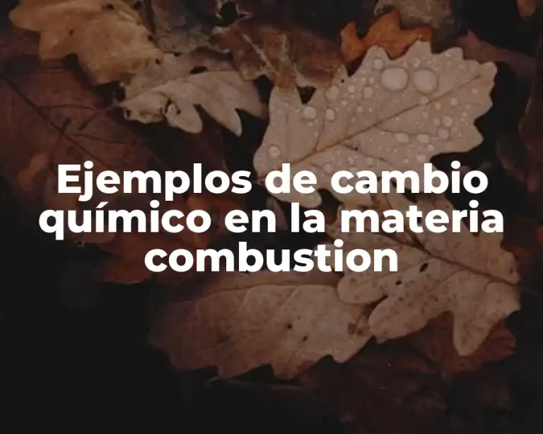 Ejemplos de cambio químico en la materia combustion