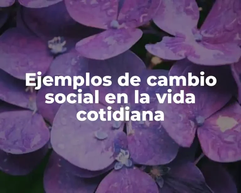 Ejemplos de cambio social en la vida cotidiana