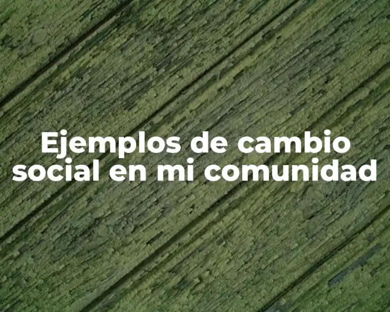 Ejemplos de cambio social en mi comunidad