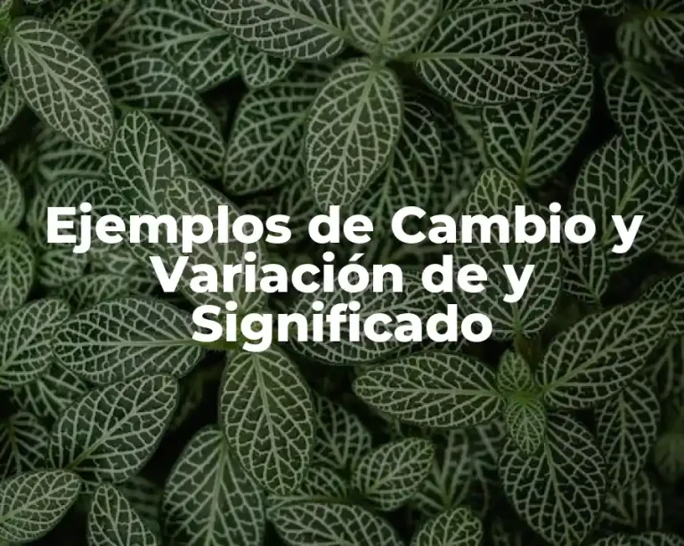 Ejemplos de Cambio y Variación de y Significado