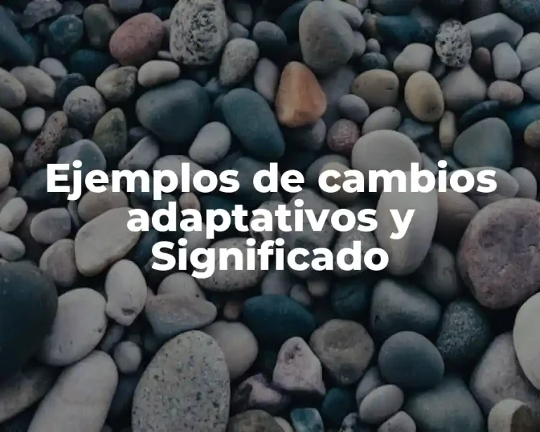 Ejemplos de cambios adaptativos y Significado
