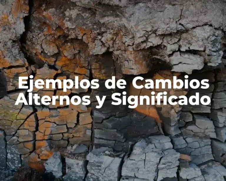 Ejemplos de Cambios Alternos y Significado