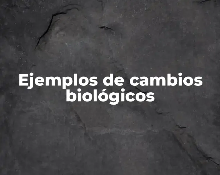 Ejemplos de cambios biológicos