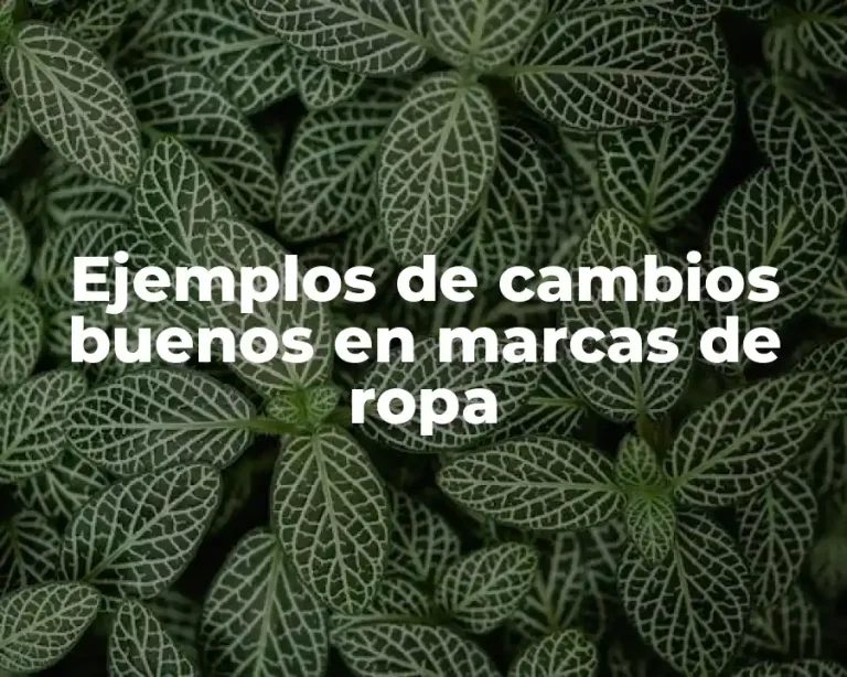 Ejemplos de cambios buenos en marcas de ropa