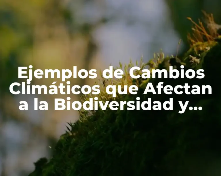 Ejemplos de Cambios Climáticos que Afectan a la Biodiversidad y Significado
