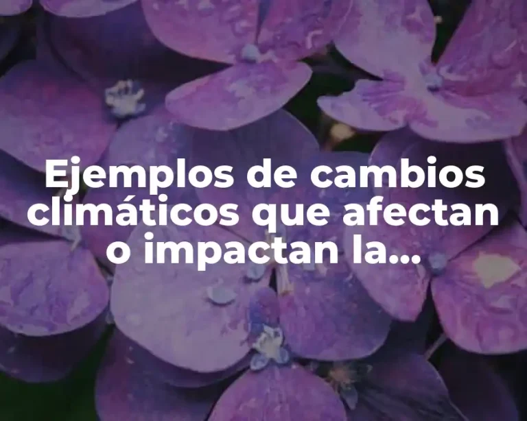 Ejemplos de cambios climáticos que afectan o impactan la biodiversidad