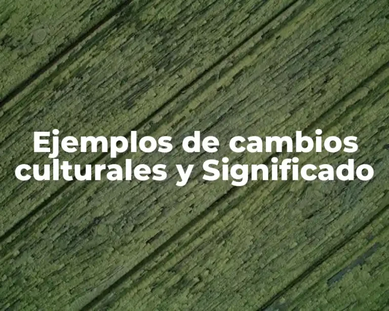 Ejemplos de cambios culturales y Significado