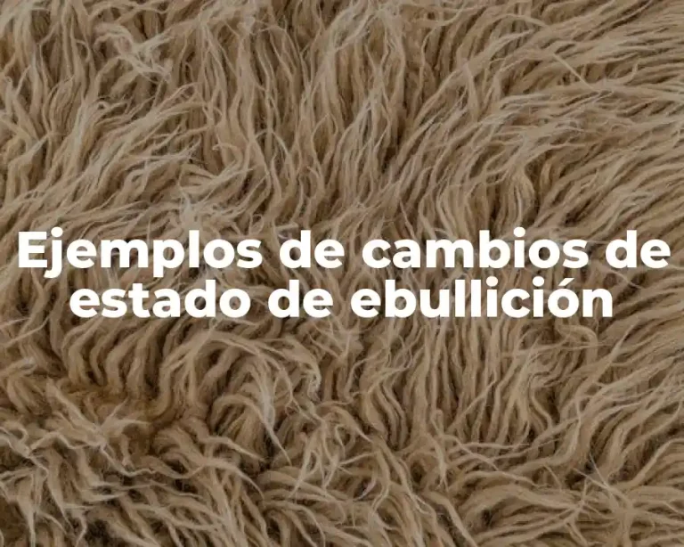 Ejemplos de cambios de estado de ebullición