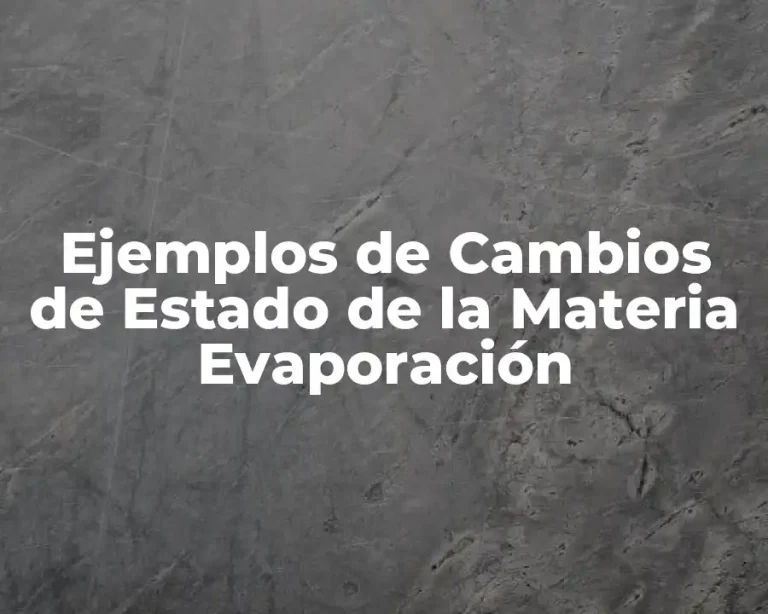 Ejemplos de Cambios de Estado de la Materia Evaporación