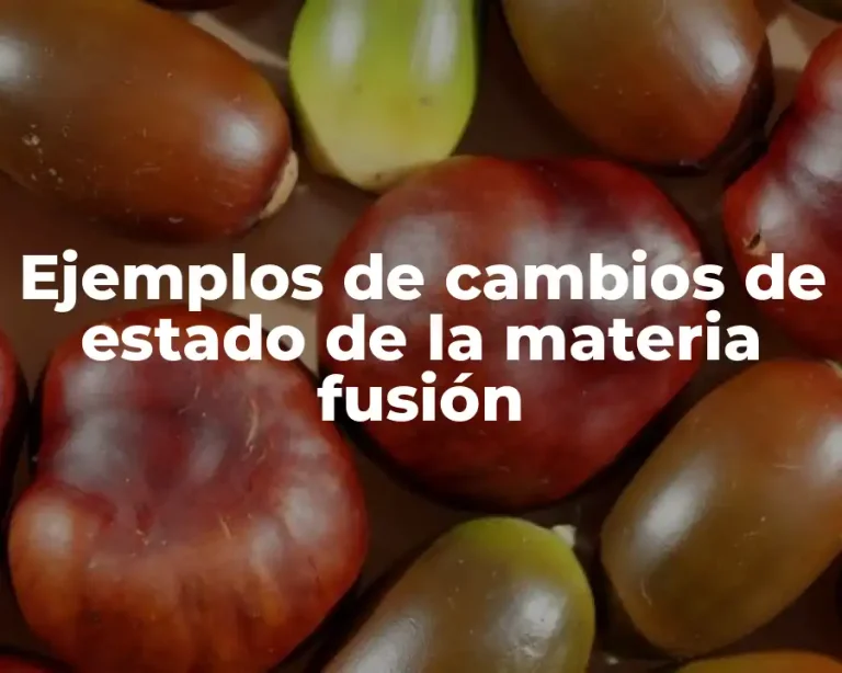 Ejemplos de cambios de estado de la materia fusión