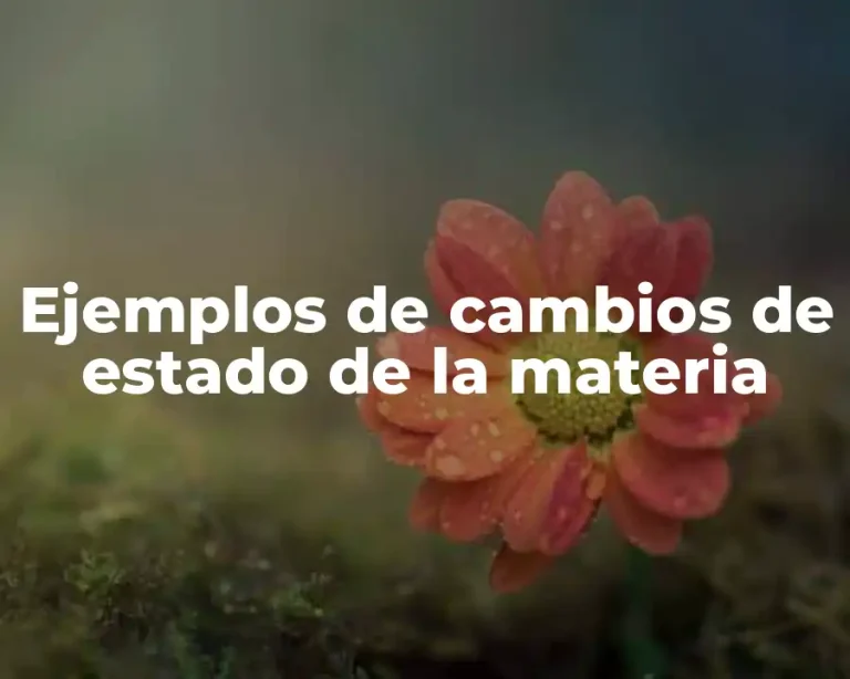 Ejemplos de cambios de estado de la materia