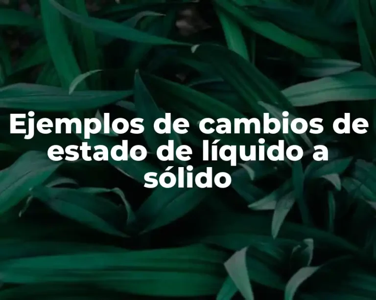 Ejemplos de cambios de estado de líquido a sólido