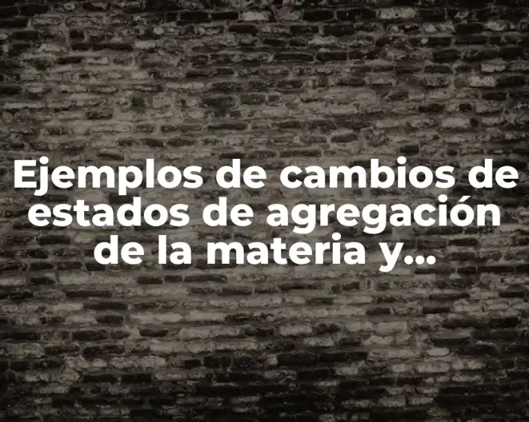 Ejemplos de cambios de estados de agregación de la materia y Significado