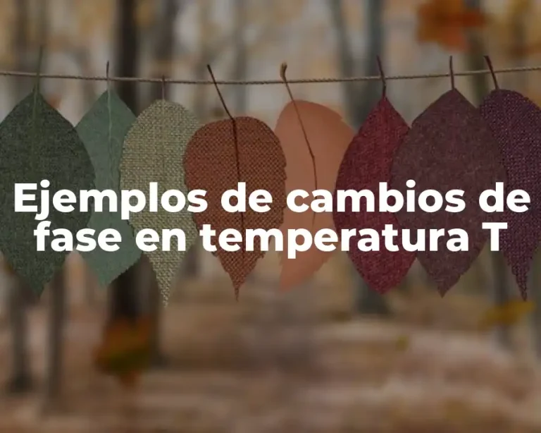 Ejemplos de cambios de fase en temperatura T