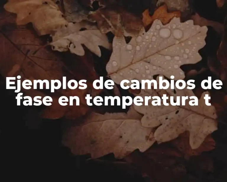 Ejemplos de cambios de fase en temperatura t