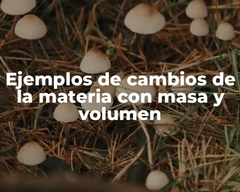 Ejemplos de cambios de la materia con masa y volumen
