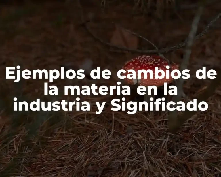 Ejemplos de cambios de la materia en la industria y Significado