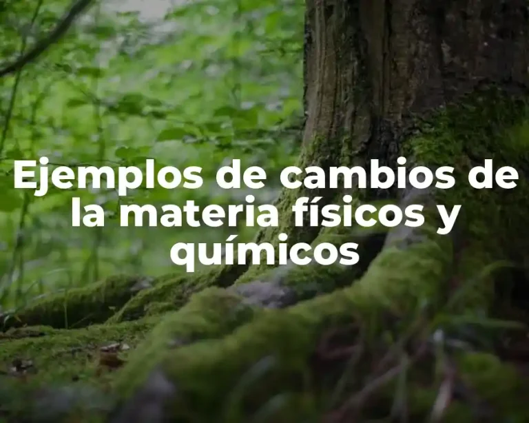 Ejemplos de cambios de la materia físicos y químicos