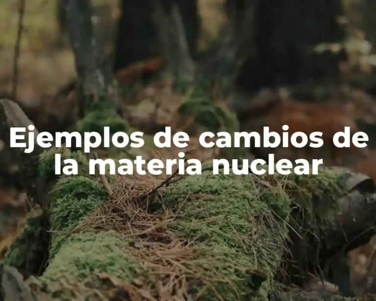 Ejemplos de cambios de la materia nuclear