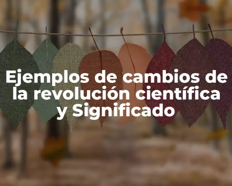 Ejemplos de cambios de la revolución científica y Significado
