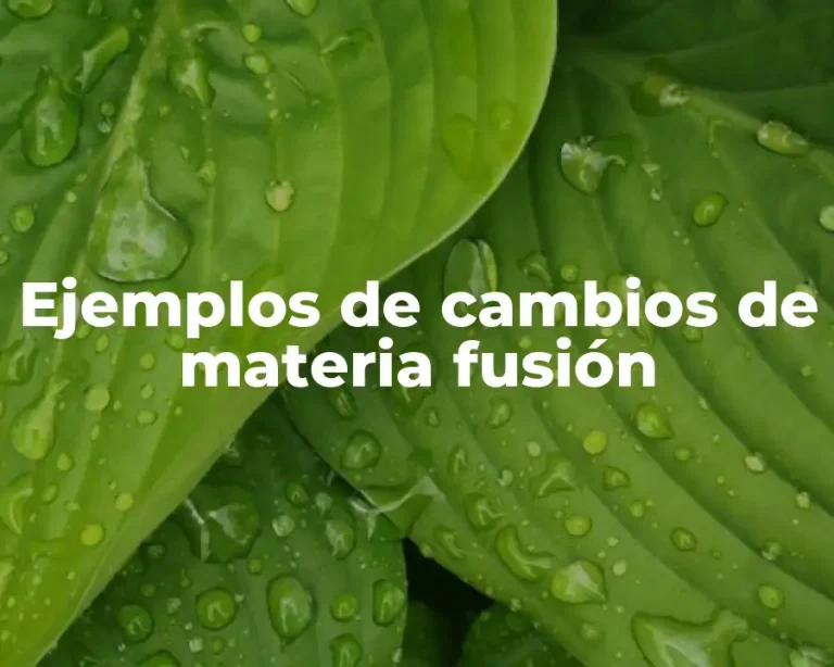 Ejemplos de cambios de materia fusión