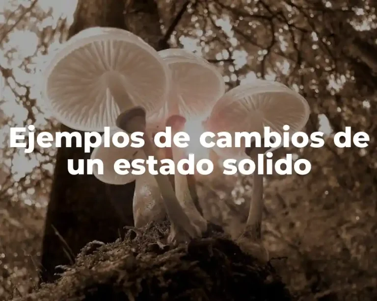 Ejemplos de cambios de un estado solido