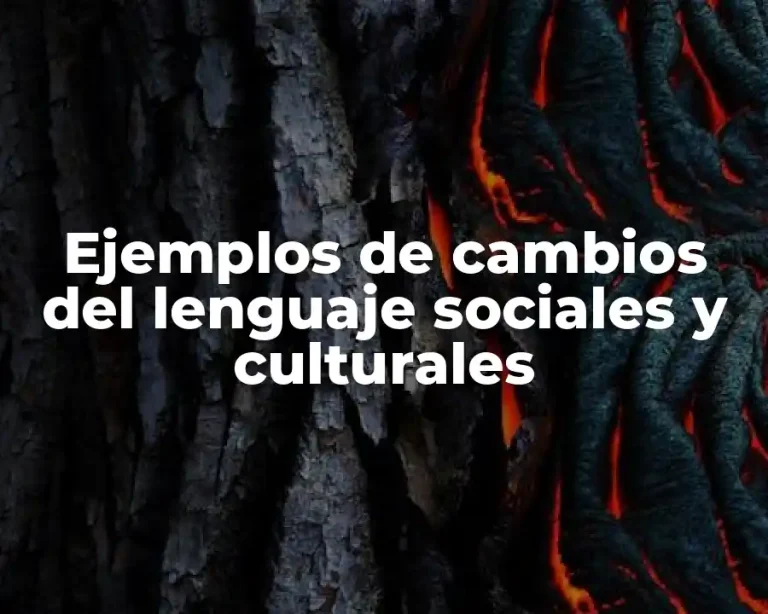 Ejemplos de cambios del lenguaje sociales y culturales