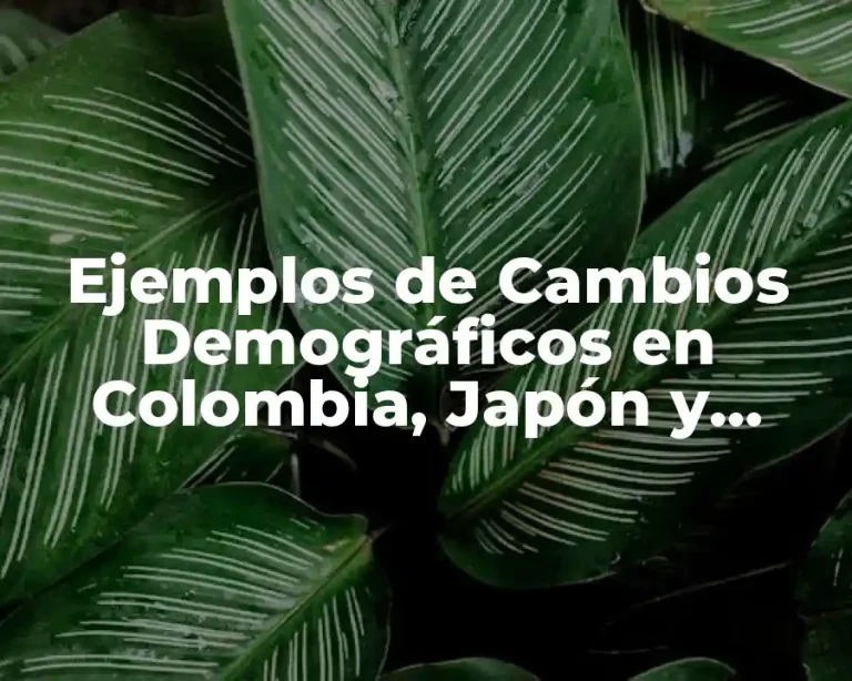 Ejemplos de Cambios Demográficos en Colombia, Japón y México