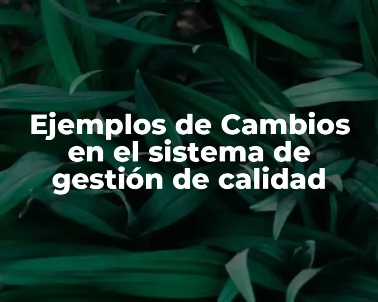 Ejemplos de Cambios en el sistema de gestión de calidad