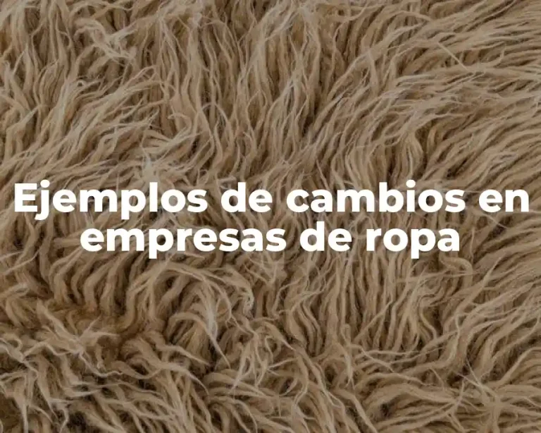 Ejemplos de cambios en empresas de ropa