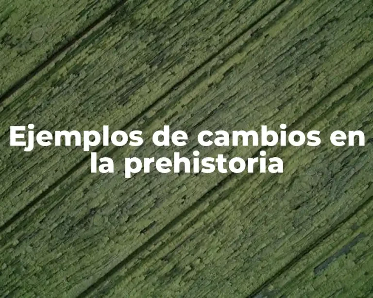 Ejemplos de cambios en la prehistoria