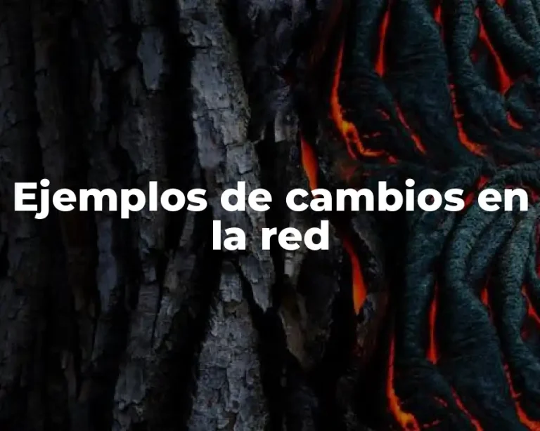 Ejemplos de cambios en la red