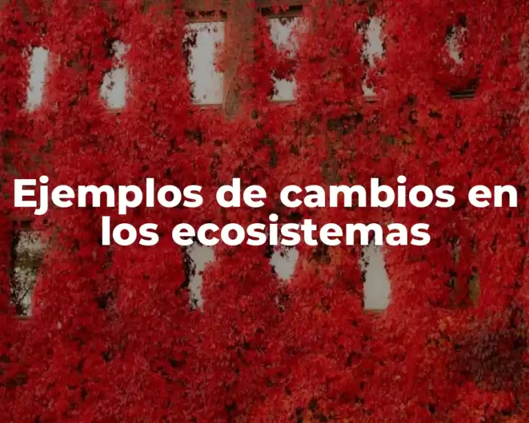 Ejemplos de cambios en los ecosistemas