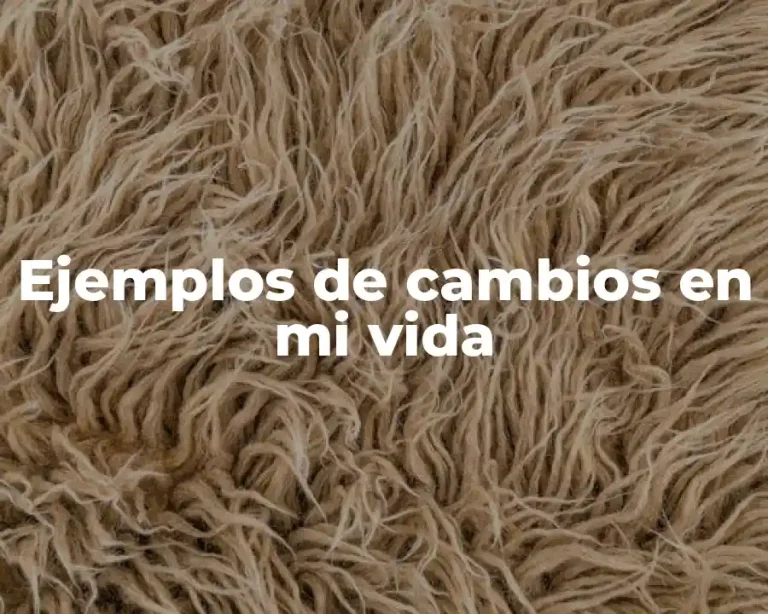 Ejemplos de cambios en mi vida