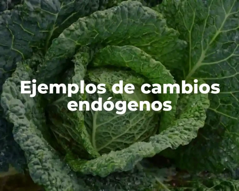 Ejemplos de cambios endógenos