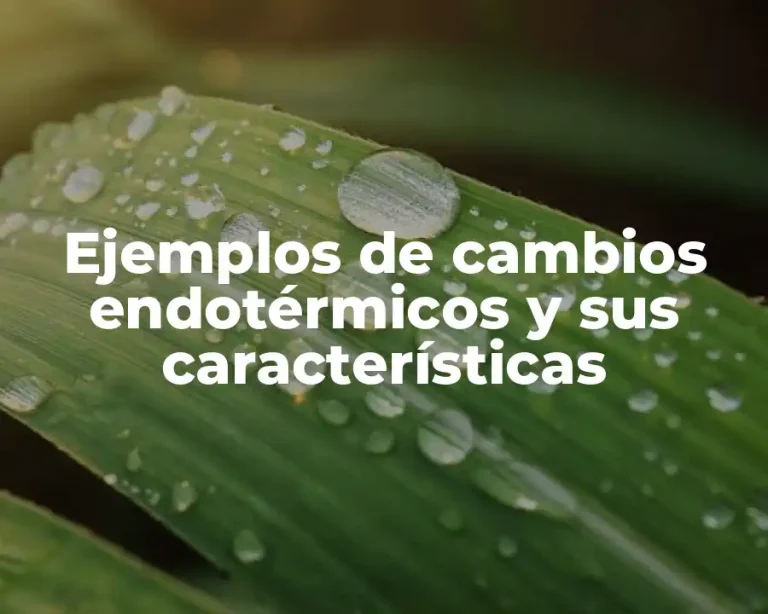 Ejemplos de cambios endotérmicos y sus características