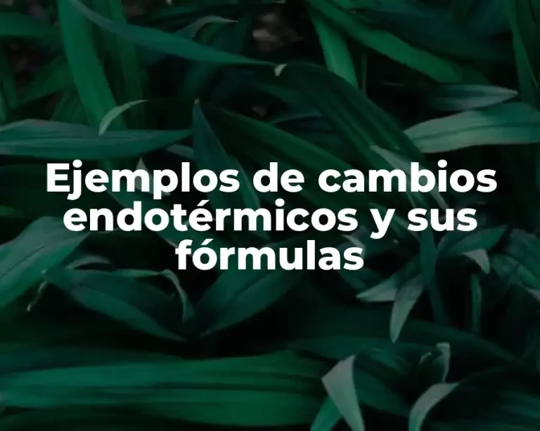 Ejemplos de cambios endotérmicos y sus fórmulas