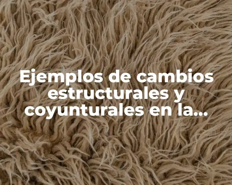 Ejemplos de cambios estructurales y coyunturales en la sociedad y Significado