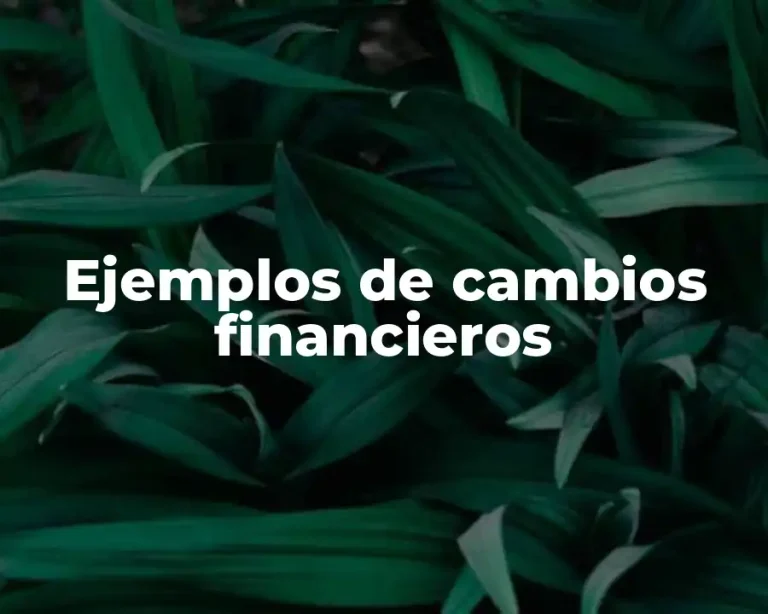 Ejemplos de cambios financieros