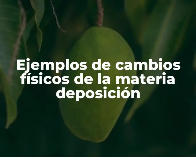 Ejemplos de cambios físicos de la materia deposición